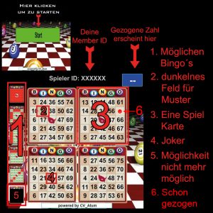 bingo_spielfeld
